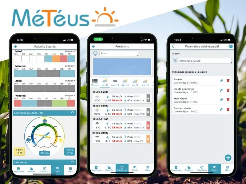 Meteus en