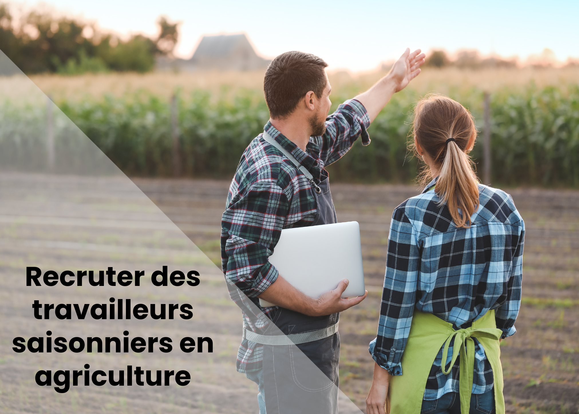 Travailleurs agricoles saisonniers