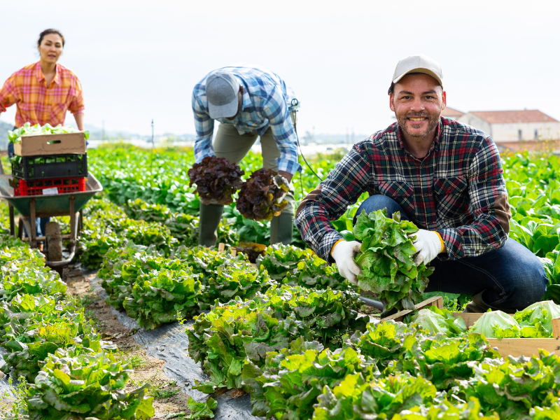 gestion des paies des travailleurs agricoles